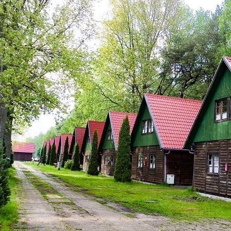 Polwysep Natura Tour Jastarnia Exterior foto